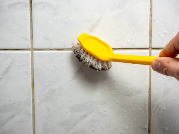 Best Mold Remediation  in Clyde, OH