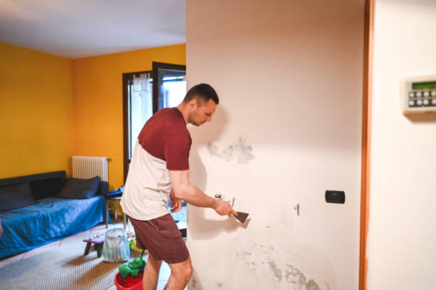 Best Mold Damage Repair  in Clyde, OH